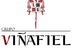 GRUPO VIÑAFIEL