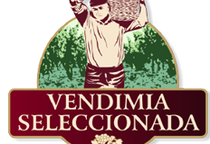 VENDIMIA SELECCIONADA
